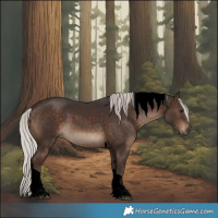 Horse Color:Void Silver Brown Tobiano 