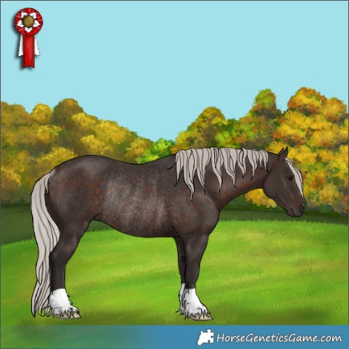 Horse Color:Silver Brown Rabicano 