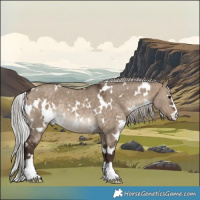 Horse Color:White Spotted Silver Brown Dun Rabicano 