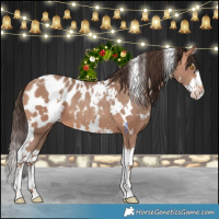 Horse Color:White Spotted Amber Champagne Splash Appaloosa 