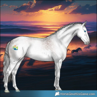 Horse Color:Gray Bay Roan Splash Rabicano 