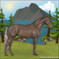 Horse Color:Silver Black 