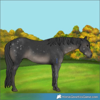 Horse Color:Black Mushroom 