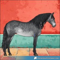 Horse Color:Brown Chinchilla 