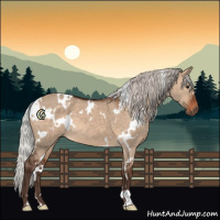 Horse Color:White Spotted Silver Brown Dun