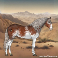 Horse Color:White Spotted Silver Brown 