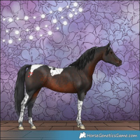 Horse Color:Brown Tobiano Rabicano