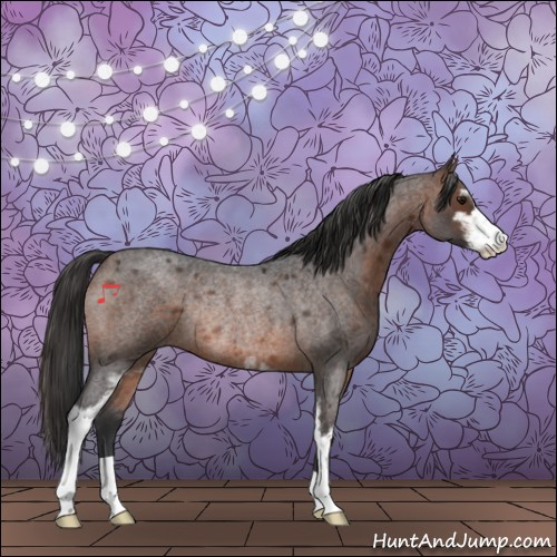 Horse Color:Brown Roan Sabino Rabicano 