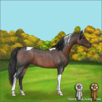 Horse Color:Brown Roan Tobiano 