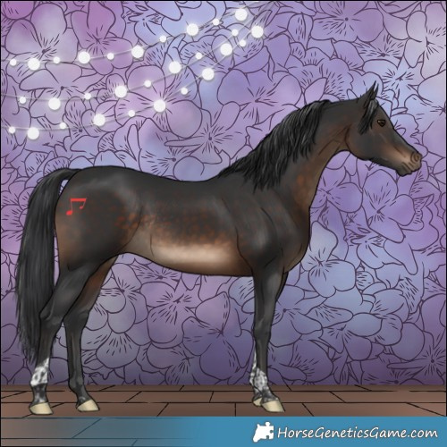 Horse Color:Brown Tobiano Rabicano