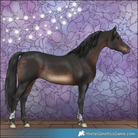 Horse Color:Brown Tobiano Rabicano