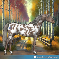 Horse Color:Liver Red Dun Mushroom Near Leopard Brindle 
