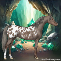 Horse Color:Liver Red Dun Mushroom Near Leopard Brindle 