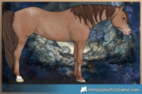 Horse Color:Classic Champagne 