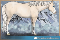 Horse Color:Gold Cream Champagne Pearl Splash 