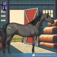 Horse Color:Grullo 