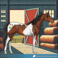 Horse Color:Brown Tobiano 