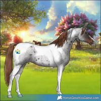 Horse Color:Liver Red Roan Tobiano 