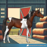 Horse Color:Brown Tobiano 