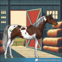 Horse Color:Liver Chestnut Tobiano 