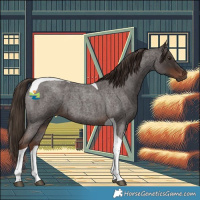 Horse Color:Liver Red Roan Tobiano 