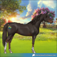 Horse Color:Liver Chestnut Tobiano 