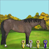Horse Color:Brown Dun Brindle 