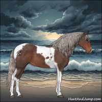 Horse Color:Silver Black Tobiano