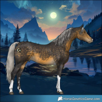 Horse Color:Silver Buckskin Tobiano 