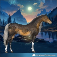 Horse Color:Silver Buckskin Tobiano