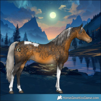 Horse Color:Silver Buckskin Tobiano