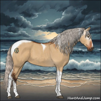 Horse Color:Gray Silver Brown Dun Tobiano