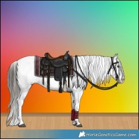 Horse Color:Liver Red Dun Appaloosa Brindle 