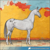 Horse Color:Grullo Varnish Brindle 