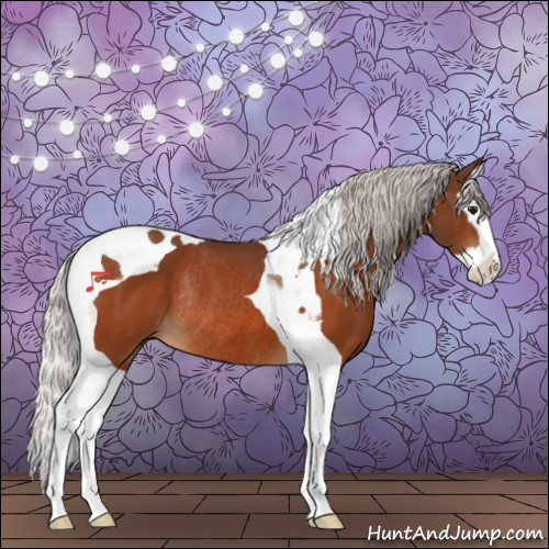 Horse Color:Silver Bay Splash Tobiano Rabicano 