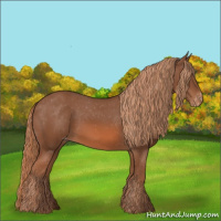 Horse Color:Chestnut Varnish