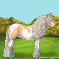 Horse Color:Palomino Tobiano 