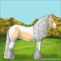 Horse Color:Palomino Tobiano 