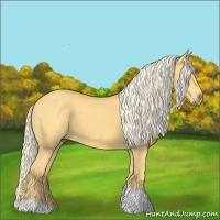 Horse Color:Palomino Tobiano 