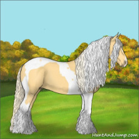 Horse Color:Palomino Tobiano 