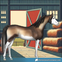Horse Color:Liver Red Onyx Splash 
