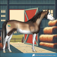 Horse Color:Liver Red Onyx Splash 
