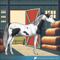 Horse Color:Black Splash Tobiano 