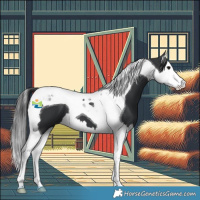Horse Color:Black Splash Tobiano 