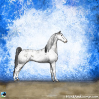 Horse Color:Blue Onyx Ice Sabino Rabicano 