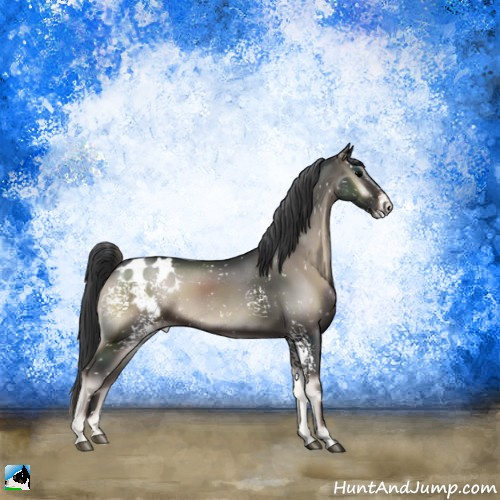 Horse Color:White Spotted Blue Onyx Sabino Appaloosa 