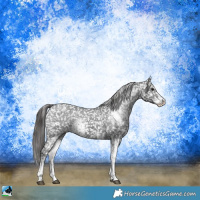 Horse Color:White Spotted Black Sabino Snowflake Varnish 