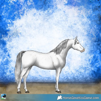 Horse Color:Brown Sabino 