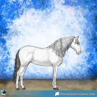 Horse Color:White Spotted Blue Onyx Ice Appaloosa 