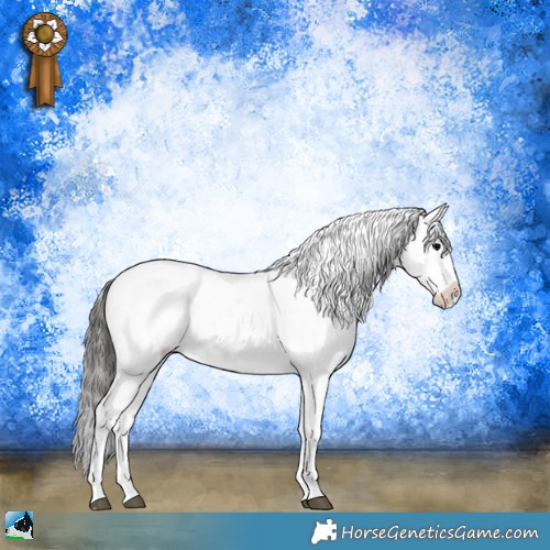 Horse Color:Blue Onyx Sabino Appaloosa Rabicano 